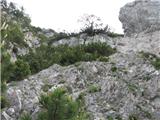 Monte Scinauz prvi bolj strmi odsek